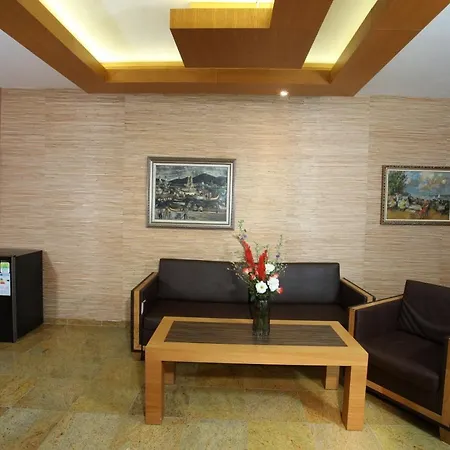 Hotel Art Complex Anel