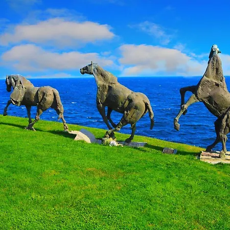 Art Complex Anel 3* Σωζόπολη