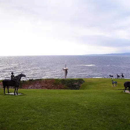 Ξενοδοχείο Art Complex Anel Σωζόπολη